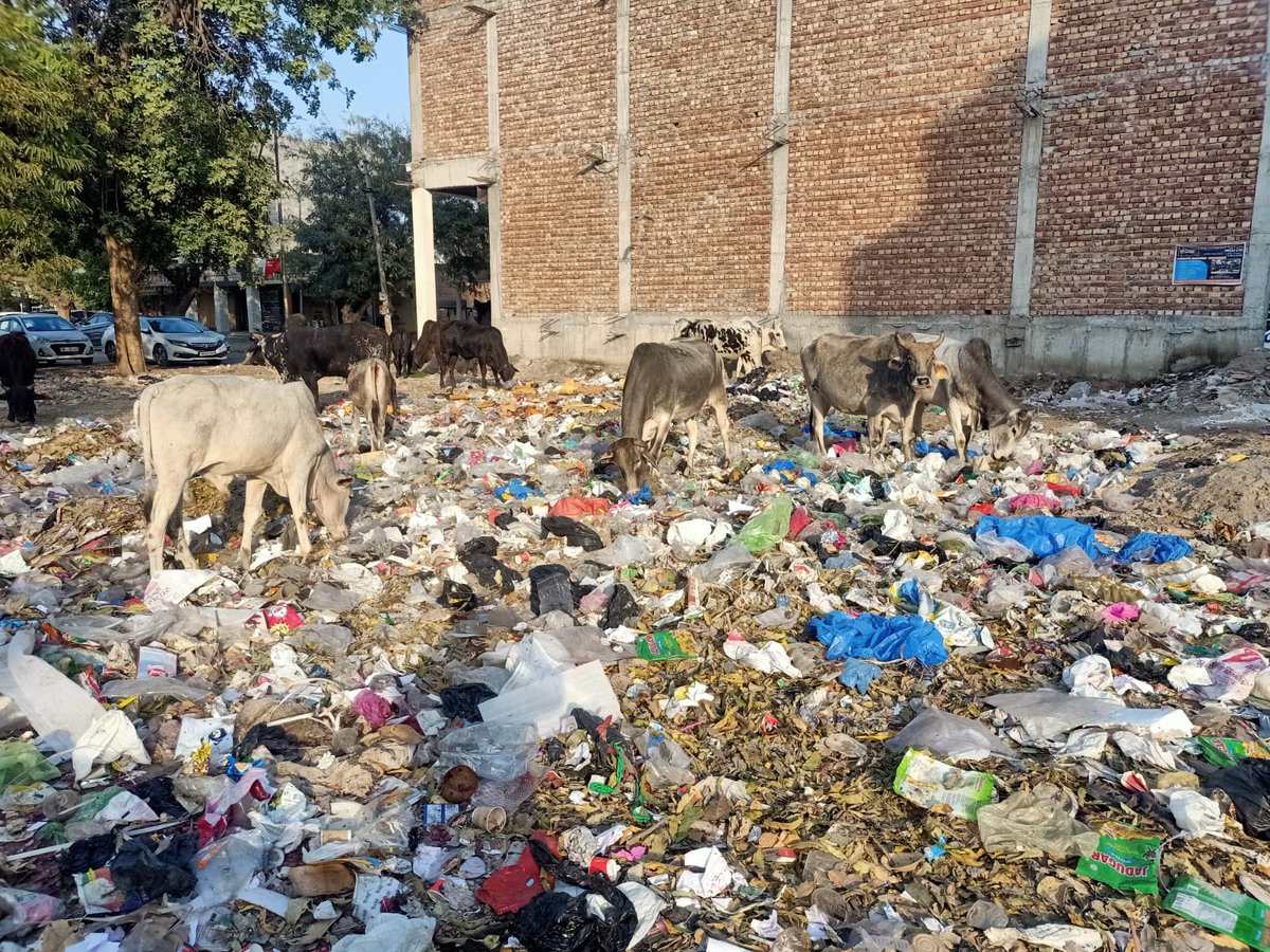 hamarapyarhsr's tweet photo. श्री मान @cmohry जी, पोश एरिया अर्बन एस्टेट-II और डाबरा चौक हिसार का एक दृश्य, सारा शहर गंदगी से भरा हुआ है @SwachhBharatGov @JagranNews @DainikBhaskar https://t.co/zDJdOsSq6L
