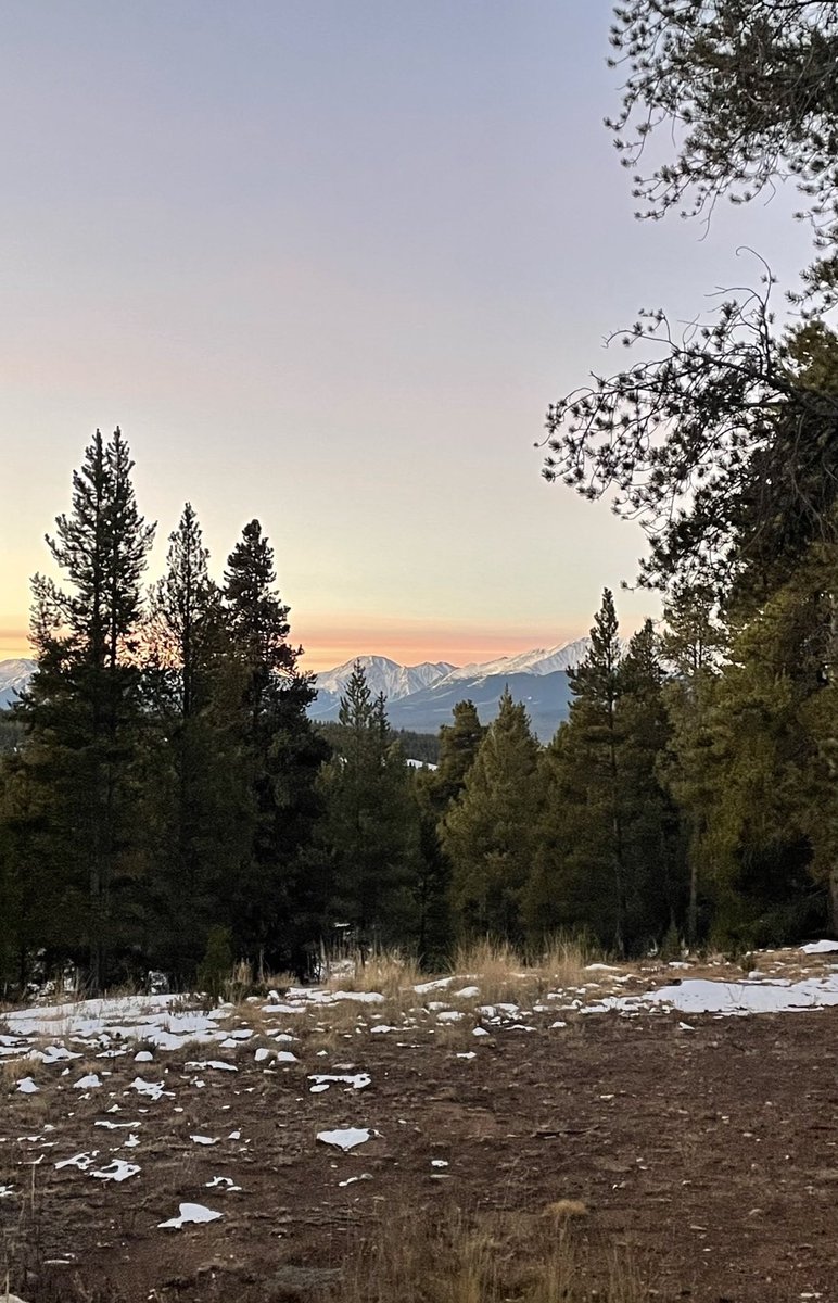 Jonathan Levitt tweet media