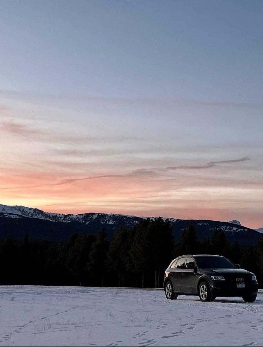 Jonathan Levitt tweet media