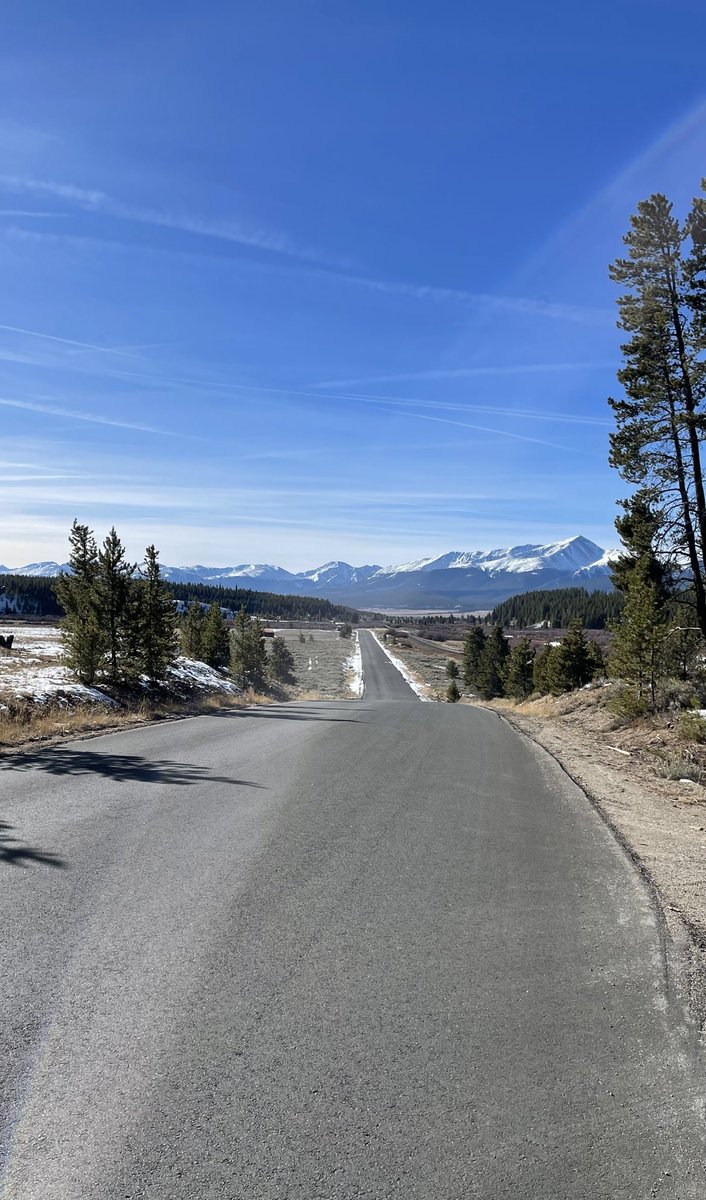 Jonathan Levitt tweet media