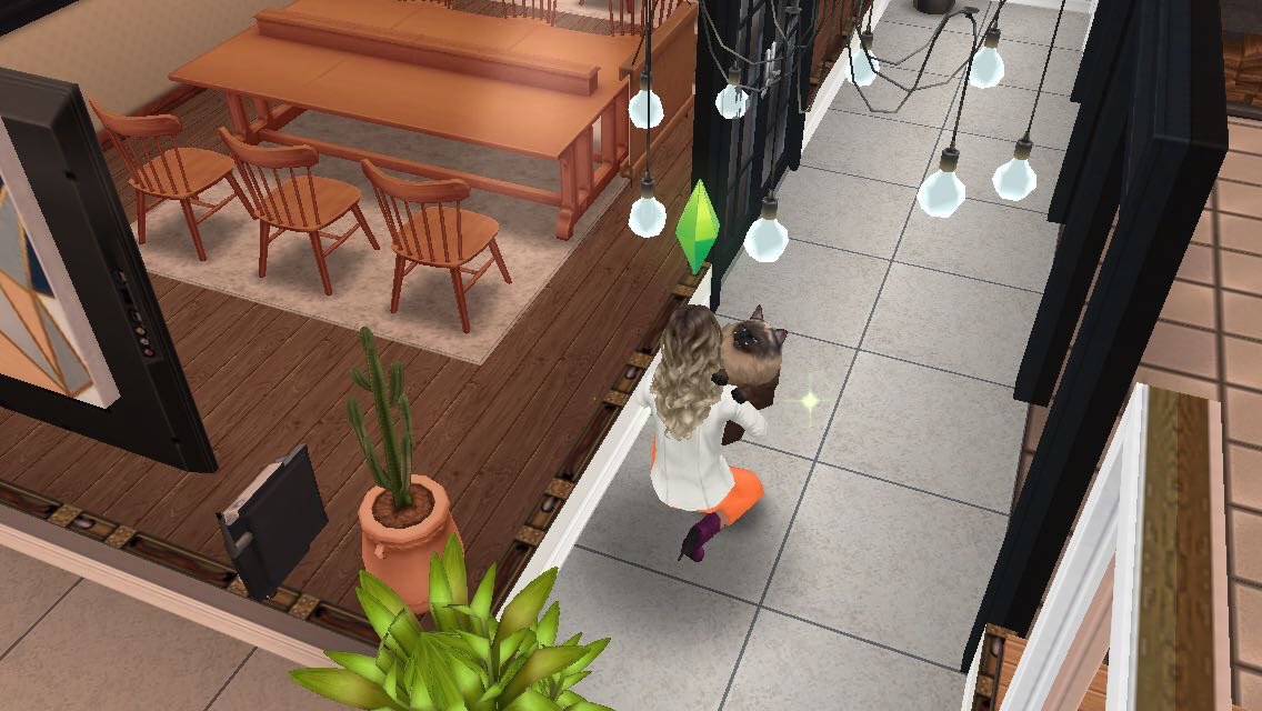 Phoenix Willington tweet media