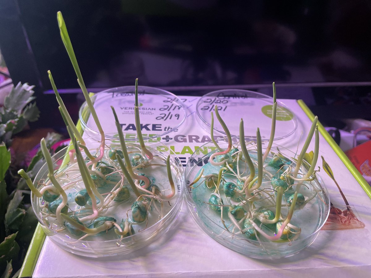 Susan Littlefield tweet media