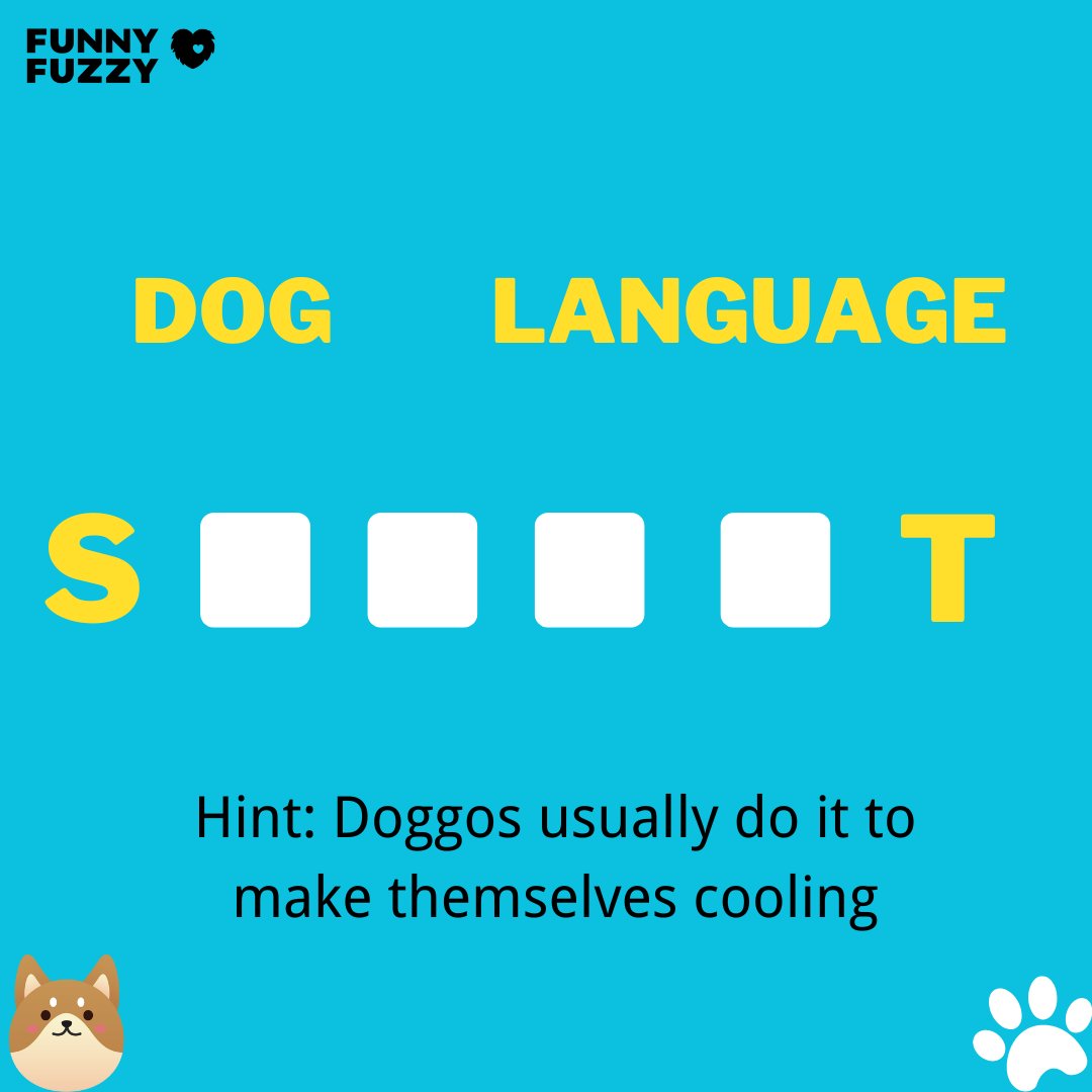 FUNNYFUZZY tweet media