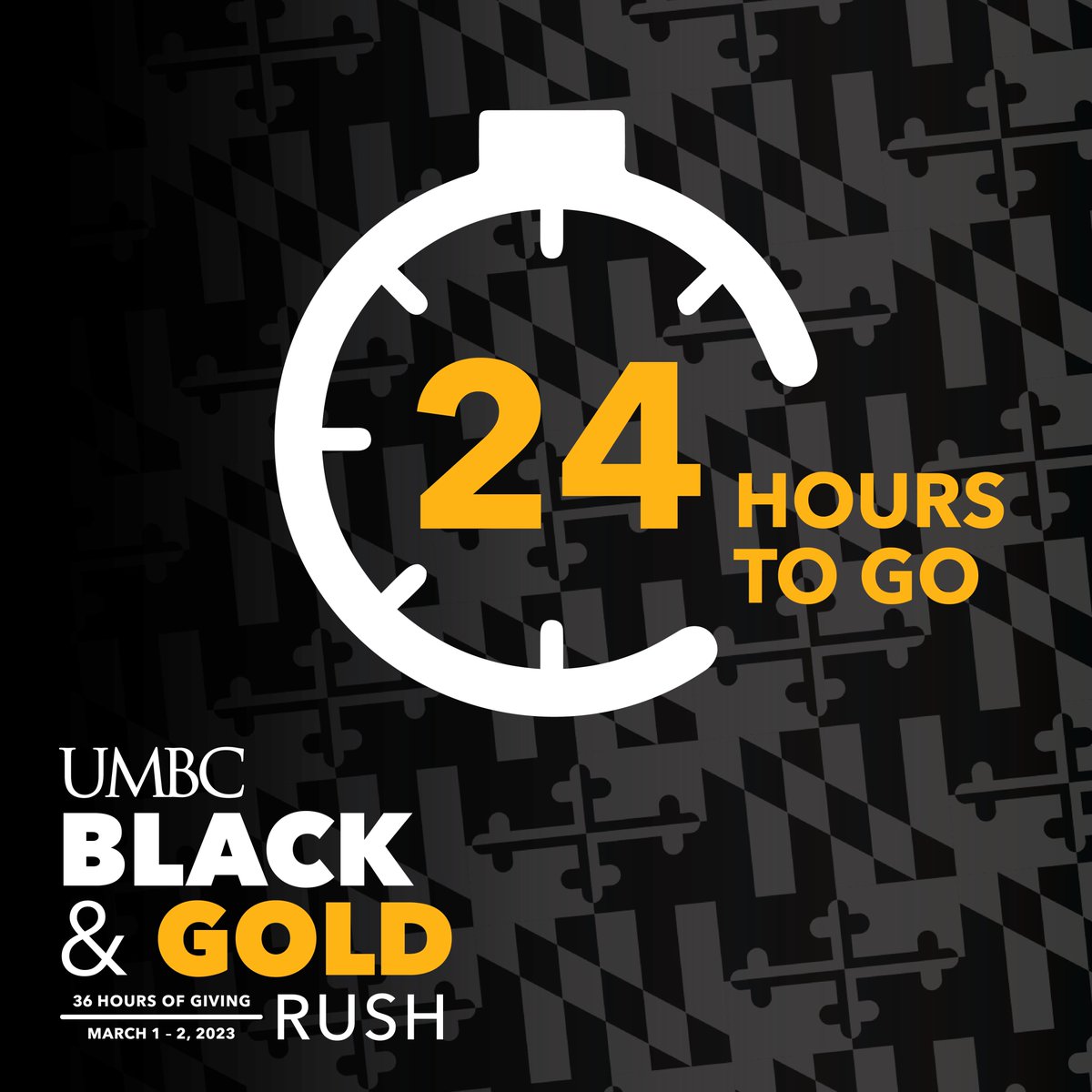 Most of my followers here are Union friends, but if there are any UMBC people seeing this or anyone feeling generous, I'd love to end Day 1 of Black & Gold Rush with 1000 donors! blackandgoldrush.umbc.edu