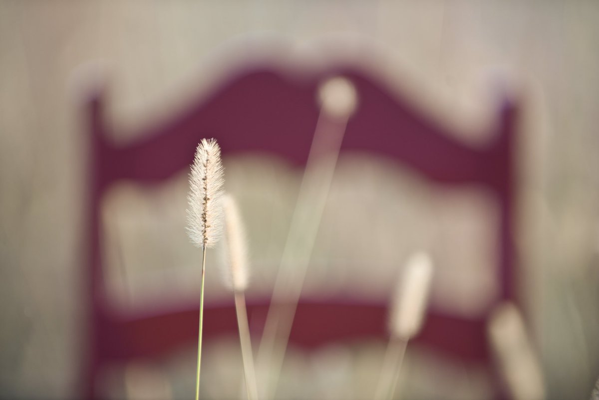 theredchairs's tweet photo. 🌾 #winstonsalem #northcarolina #theredchair 🔴🪑 https://t.co/Kh7h6wRX9U