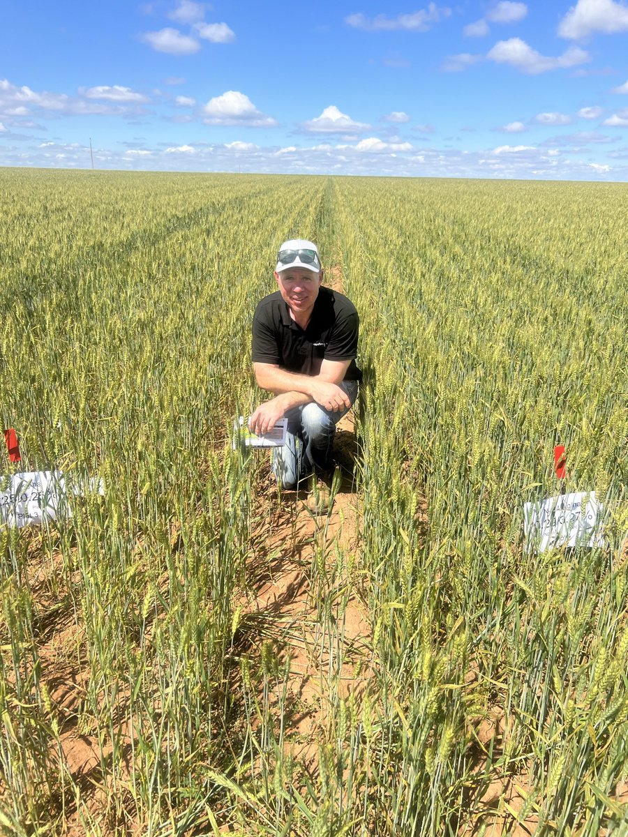 Mallee Sustainable Farming tweet media