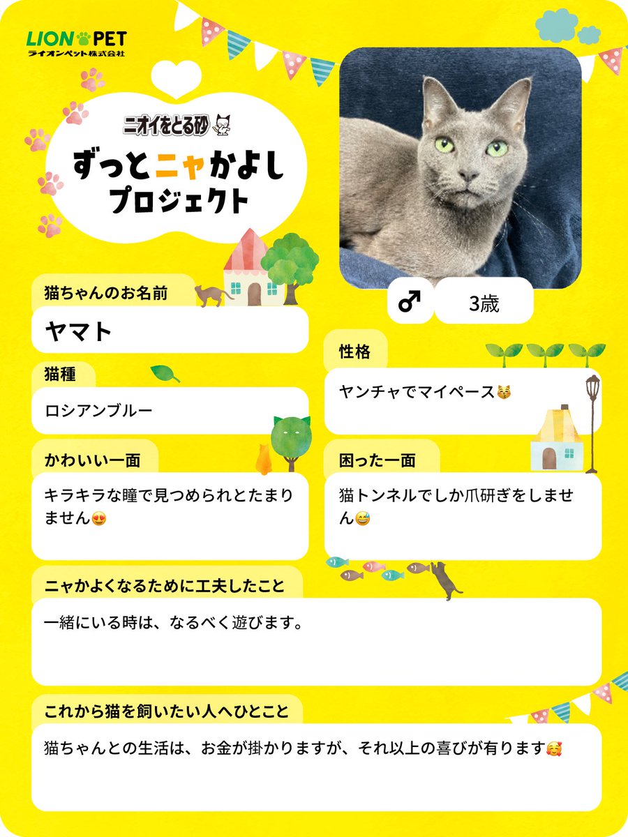 ライオン「ずっとニャかよしプロジェクト」に参加します😊

投稿1件につき22円が保護猫支援活動に寄付されるそうです。3月22日まで
#ずっとニャかよし