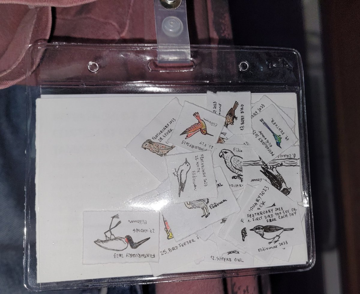 elidiomar_prof's tweet photo. Meus 28 desenhos do desafio de Instagram "Feathruary 2023" cabem com folga em um crachá normal.
#feathruary2023
#minidrawing #microdrawing #tinydrawing #birdartchallenge #artchallenge #dailychallenge #artprompts #birdartprompts #birdillustration #avianart #birdlover #feathruary https://t.co/Mz9FAyUCV8