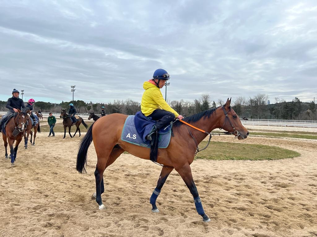 Vamos Matamor!!!
#CuadraElOso
🔵🔴🟡
<a href="/SotoLoring/">Alvaro Soto Loring</a> 
<a href="/EloyELCABO/">ECB</a> 
<a href="/VazquezJosete/">Josete Vazquez</a>