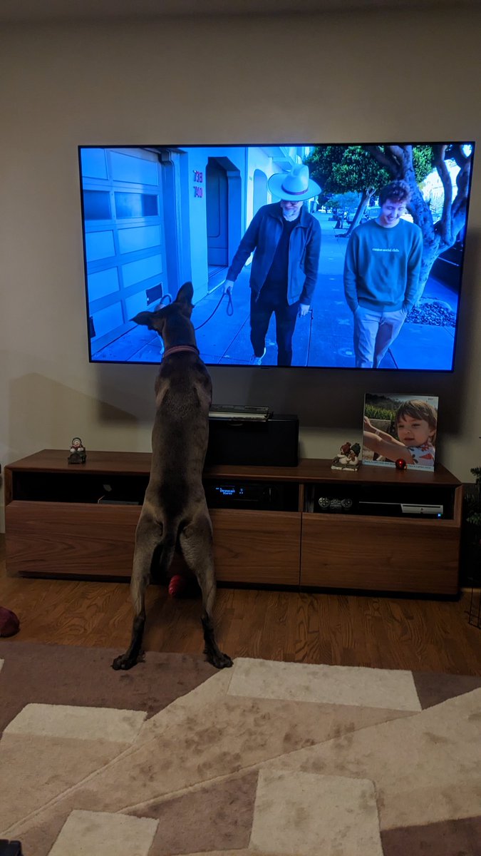 IdahoEv's tweet photo. @testedcom @dog_rates We watched it together https://t.co/ItC7bxSrfw
