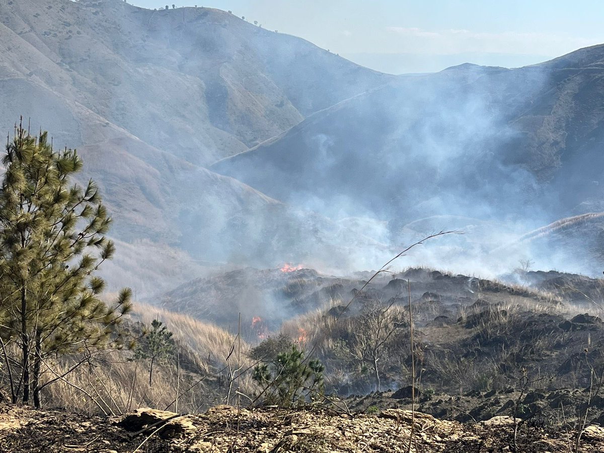 jordiveras's tweet photo. Estas imágenes y las que vienen son de la frontera en el trayecto de la carretera Internacional. Todo eso que se quema es del lado do dominicano.  La tomó un amigo el fin de semana pasado. Primera parte. https://t.co/qXvXG8VOgW