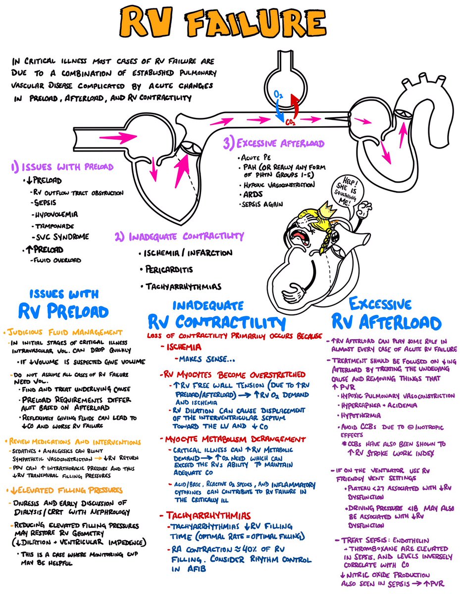 …so putting everything I need to know about #ThePeoplesVentricle on one page didn’t work out. But here’s a start! Thanks @msiuba for the article help!
#MedTwitter #FOAMed #FOAMcc 

atsjournals.org/doi/10.1513/An…

link.springer.com/article/10.100…

journal.chestnet.org/article/S0012-…