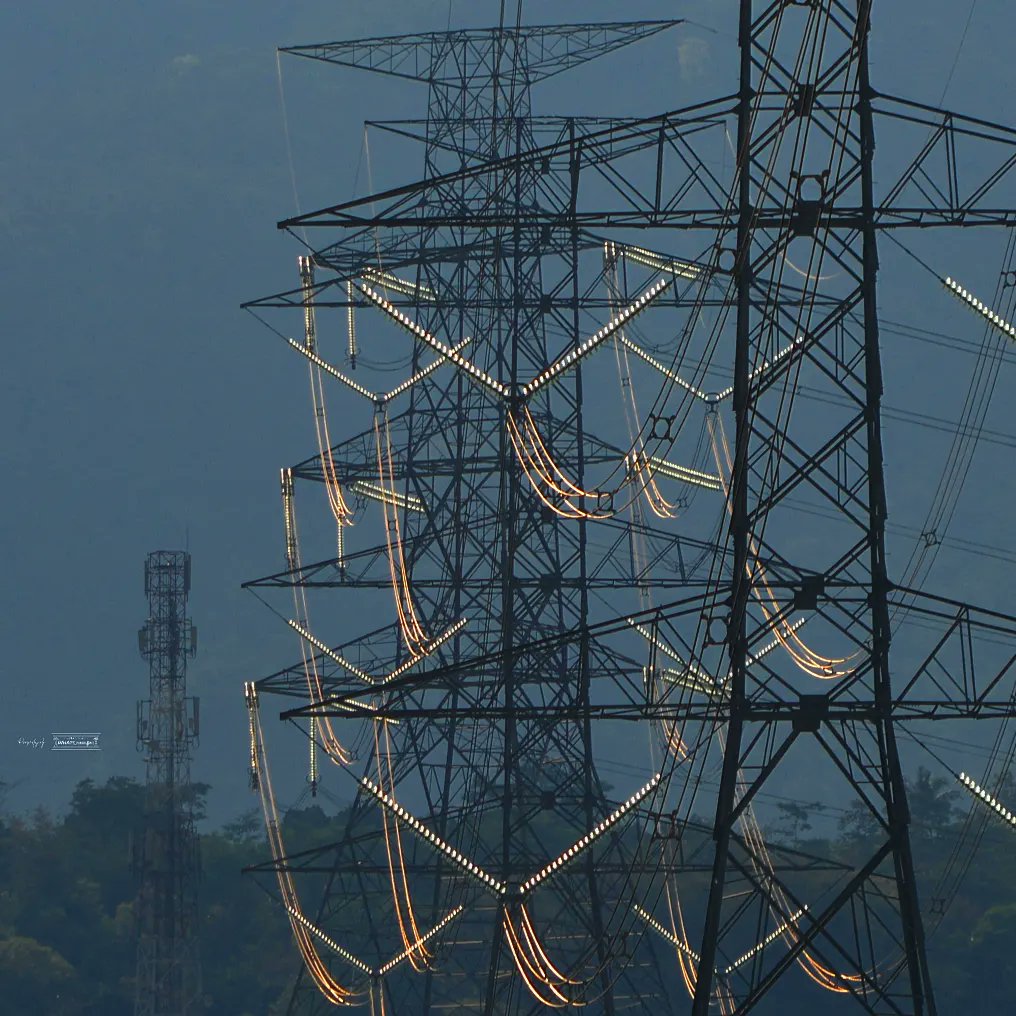 WHATs Power Lines tweet media