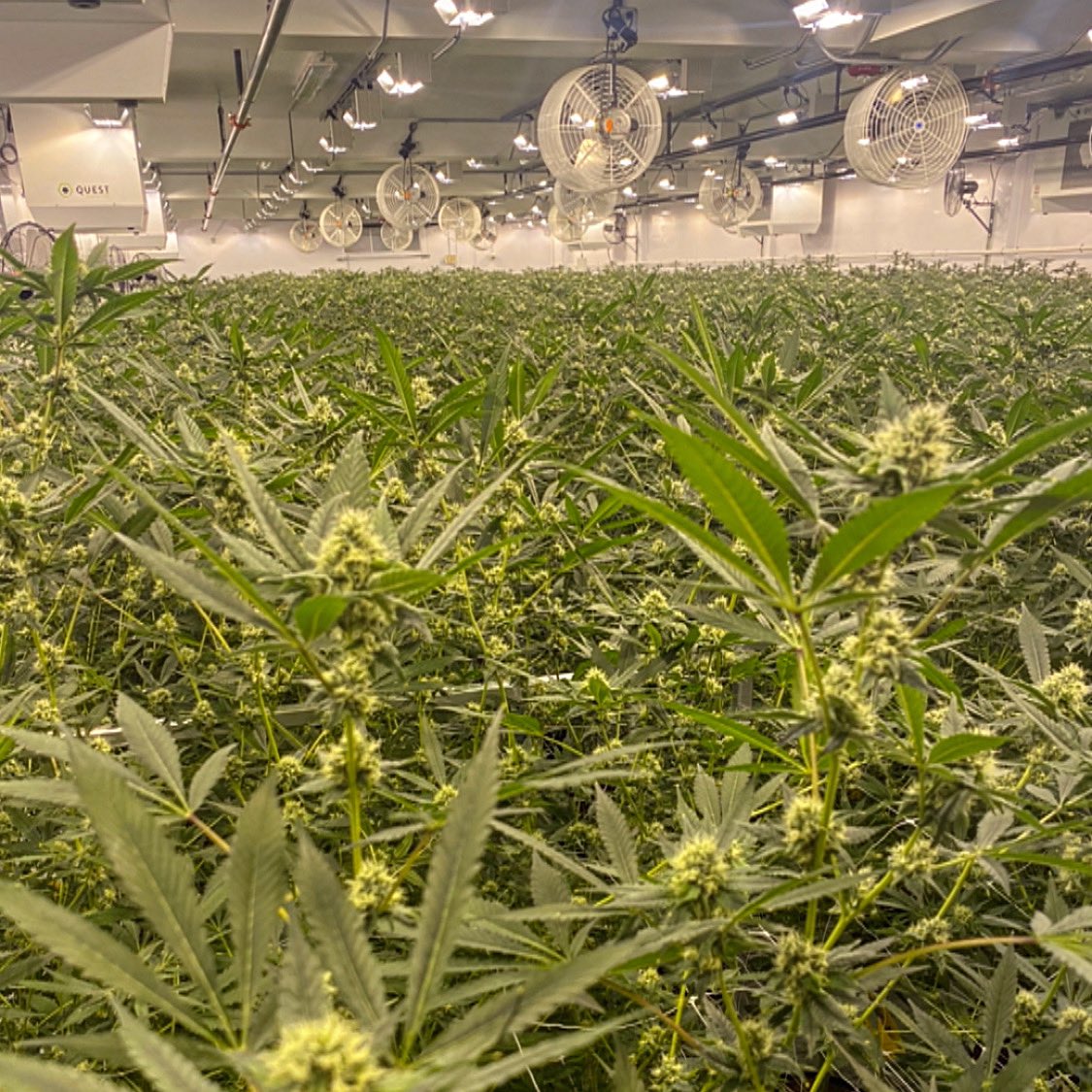 Full send in the big room 🚀🚀