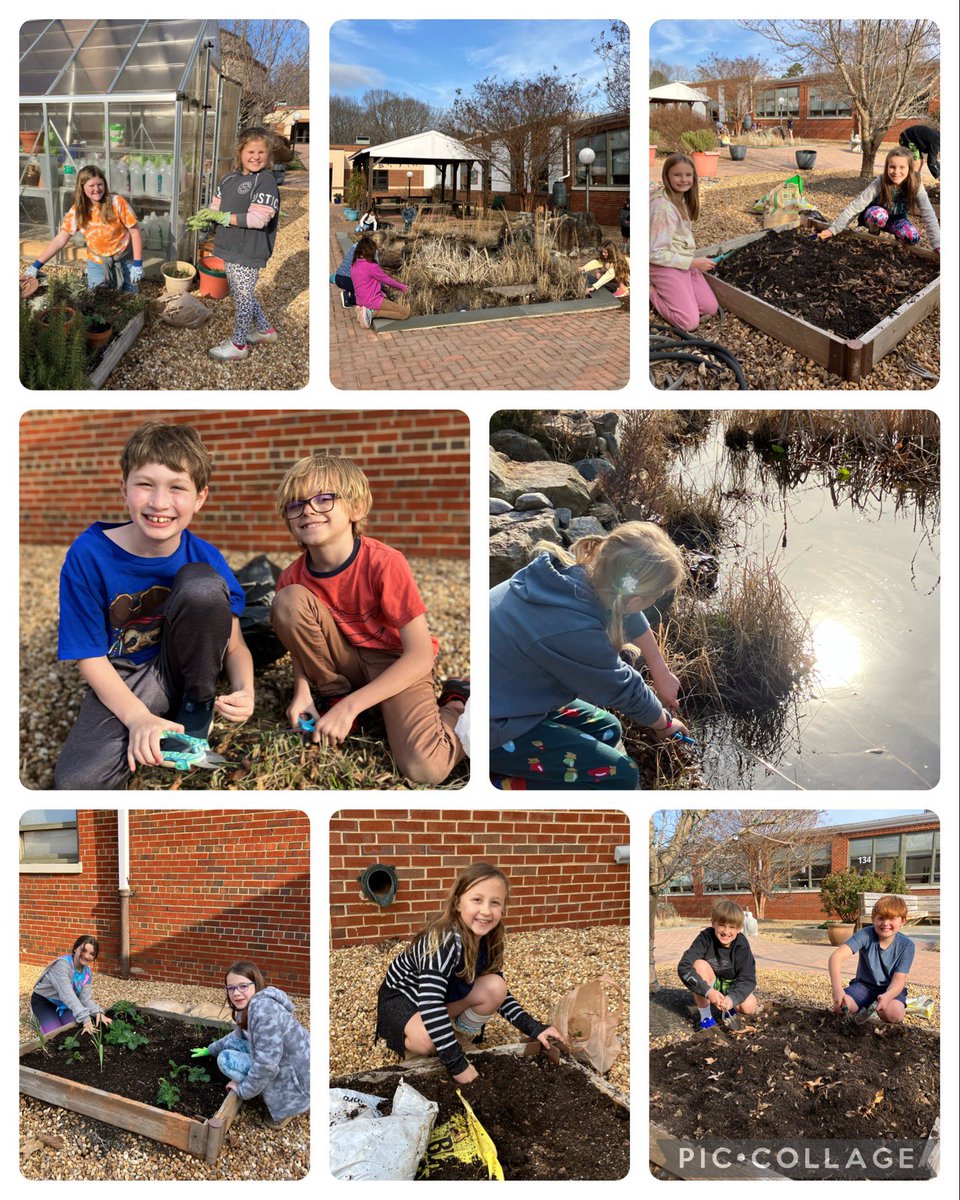 MaestritadeESOL's tweet image. Lots of fun @weRrandolph #RESgardenclub digging in the dirt! Literally! #ready4spring Smiles all around! Replenished beds, weeded, cleaned up the pond, and planted some greens! Huge thanks to AJ Frank Fine Gardening for the generous seed donations! We can’t wait! #gyo