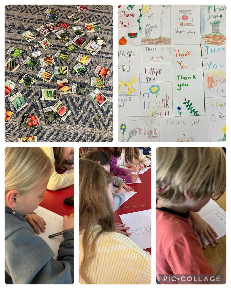 MaestritadeESOL's tweet image. Lots of fun @weRrandolph #RESgardenclub digging in the dirt! Literally! #ready4spring Smiles all around! Replenished beds, weeded, cleaned up the pond, and planted some greens! Huge thanks to AJ Frank Fine Gardening for the generous seed donations! We can’t wait! #gyo