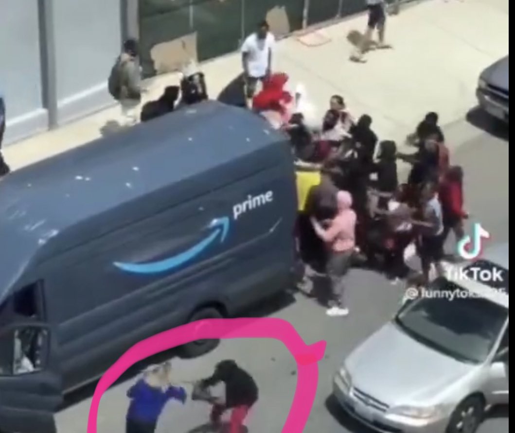 Solarfish tweet media