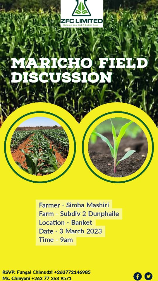 Join us for a field discussion in Banket.

#ZivaFoterezaNemishongaChaiyo