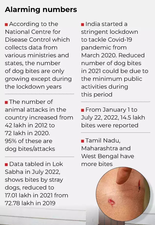 TOI Plus on Twitter "Dog bite cases have almost doubled in India over the past 8 years. Read on
