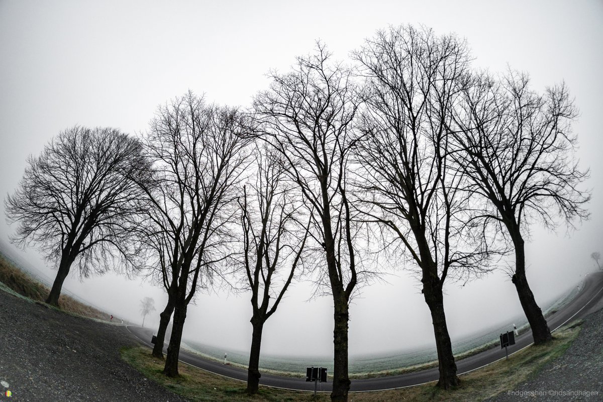 HDSandhagen's tweet photo. Landkreis Wolfenbüttel – Nebel
7,5mm Fisheye
#klick_macher #hdgesehen #hdsandhagen #wolfenbüttel #wolfenbuettel #landkreiswolfenbüttel #harzvorland #meinnhavo #dieregion #Niedersachsen #nebel #bäume #straße #fotografie #fotografieren #instafoto #nikonzfc #fisheye https://t.co/5Q24gh6g9c