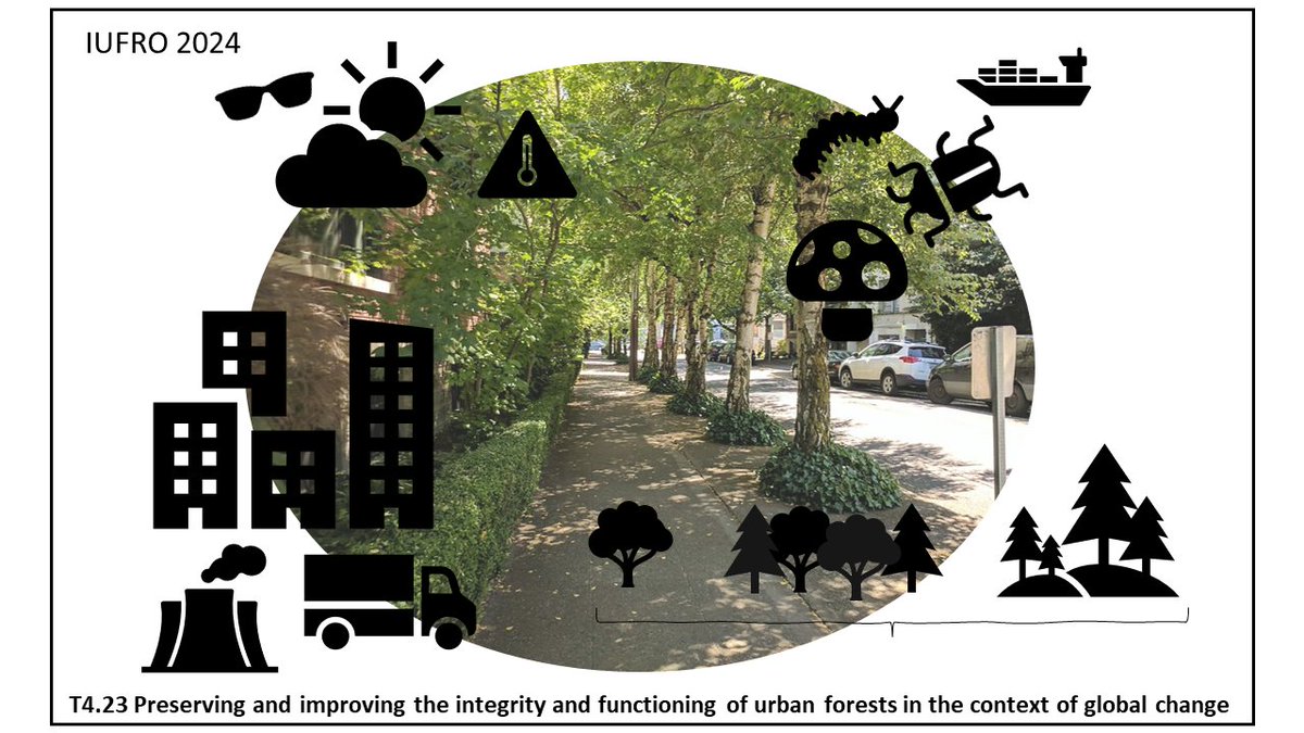 Interested in the current and future challenges of being a tree /forest in an urban landscape?  🌲🏘️🌳

We'd be happy to hear you at @IUFRO 2024 in session T4.23 Preserving and improving the integrity and functioning of urban forests in the context of global change 

#IUFRO2024