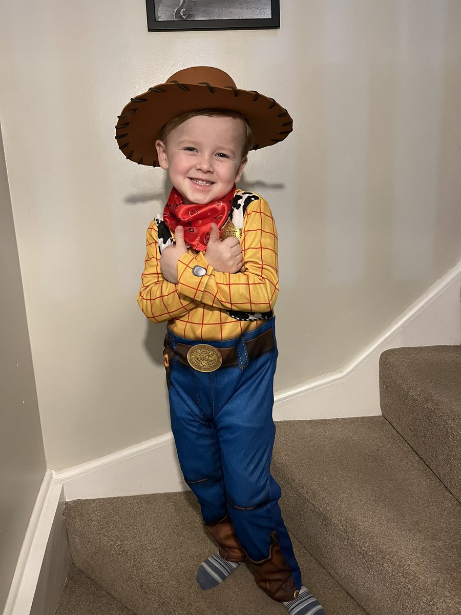 Nadine0786's tweet photo. My very own sheriff Woody! #WorldBookDay2023 @PCPSwans https://t.co/BRolXbjFVN