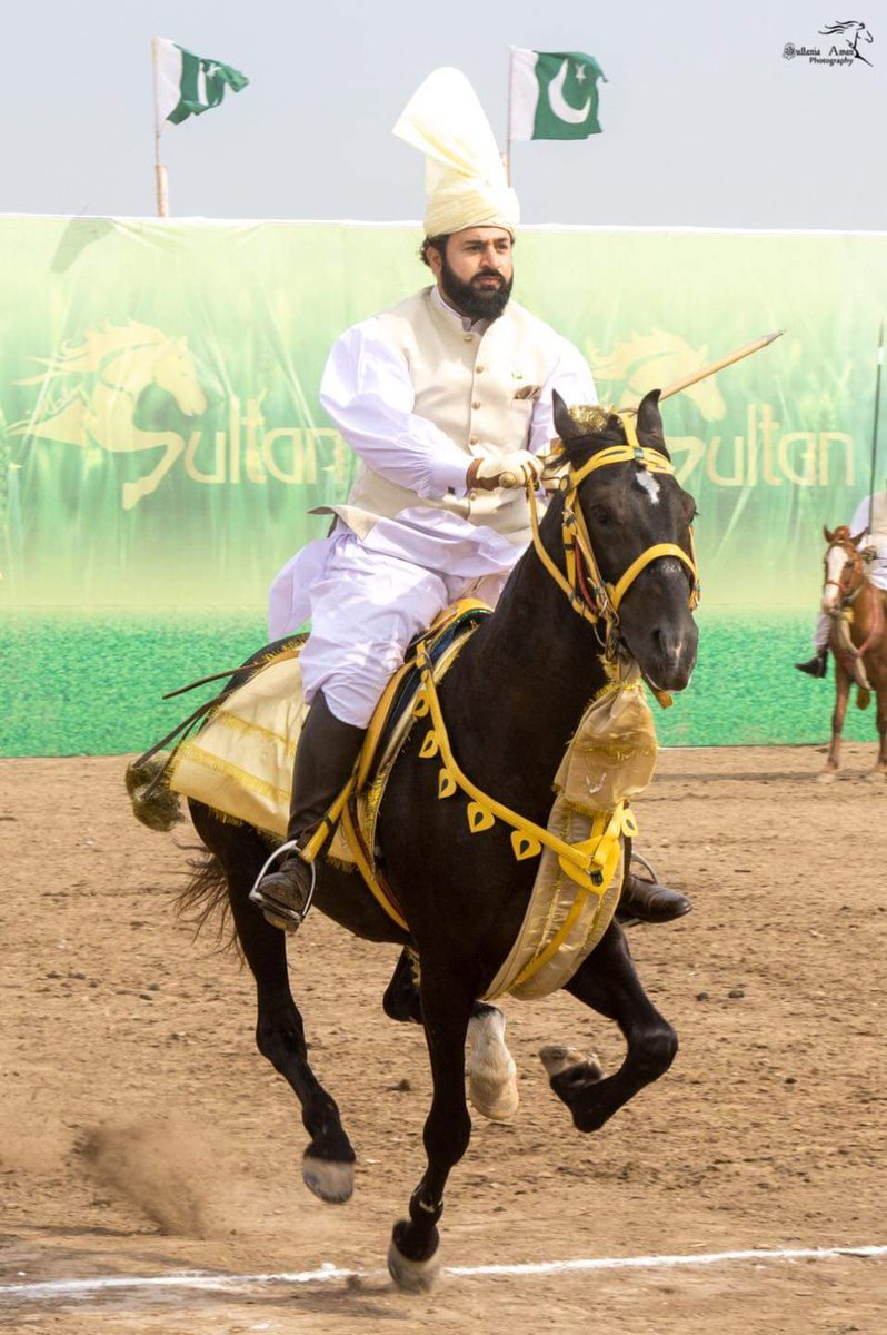The history of mankind is carried on the back of a horse.

#sultan #International #nezabazi #tentpegging #tournament #equestrian #rider #horse