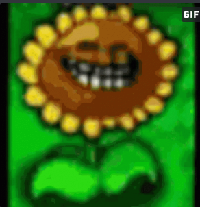 W42 SHERNBALL tweet media