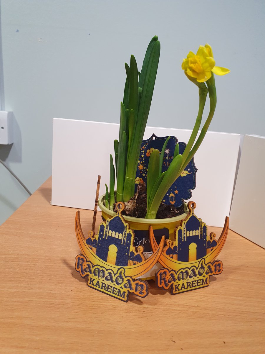 LPT MHSOP THERAPY (@lptmhsop) on Twitter photo Aston Ward (MHSOP): Celebrating St David's day and getting ready for Ramadan. Thank you <a href="/Raising_Health_/">Raising Health</a> for supporting our Cultural Fund ! ☺️ Aston Ward (MHSOP): Celebrating St David's day and getting ready for Ramadan. Thank you <a href="/Raising_Health_/">Raising Health</a> for supporting our Cultural Fund ! ☺️