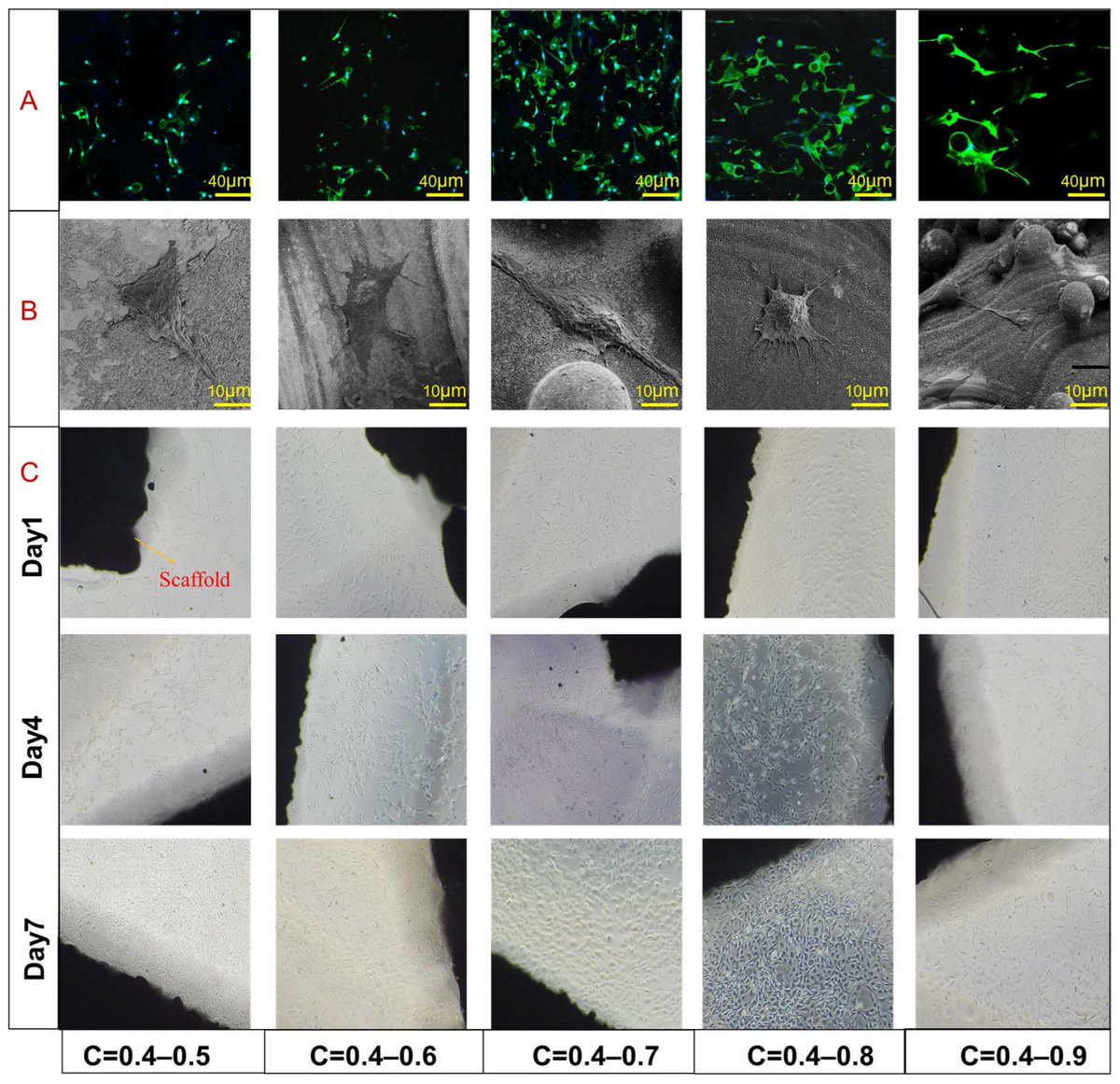 JFB_MDPI's tweet photo. 🧡Paper Recommendation From @JFB_MDPI @ChemMatSci_MDPI 

📖Evaluation of Compressive and #Permeability Behaviors of #Trabecular-Like Porous Structure with #MixedPorosity Based on #MechanicalTopology

📌https://t.co/vvE00ZrjCD
#CompressiveStrength #ElasticModulus #BoneImplantation https://t.co/gC8u7X8i4H