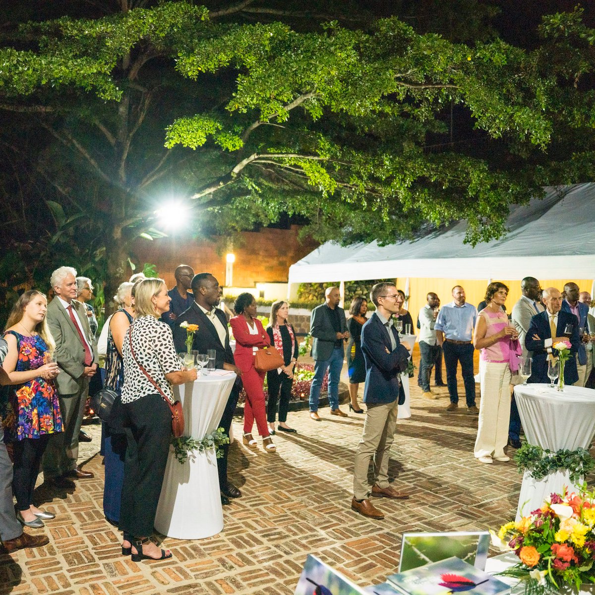 IllumeEditions's tweet photo. last night we celebrated the official launch of @2wsphotography's 'falling for the #birdsofkigali.' thank you to all who attended and supported. the book is available at @BookshopIkirezi, @HauteBaso, @PiliPiliRwanda, @Ubuntu, @EpicHotelSuites, and @thisischanzo. #birdsofkigali https://t.co/MV3f1U0SCl