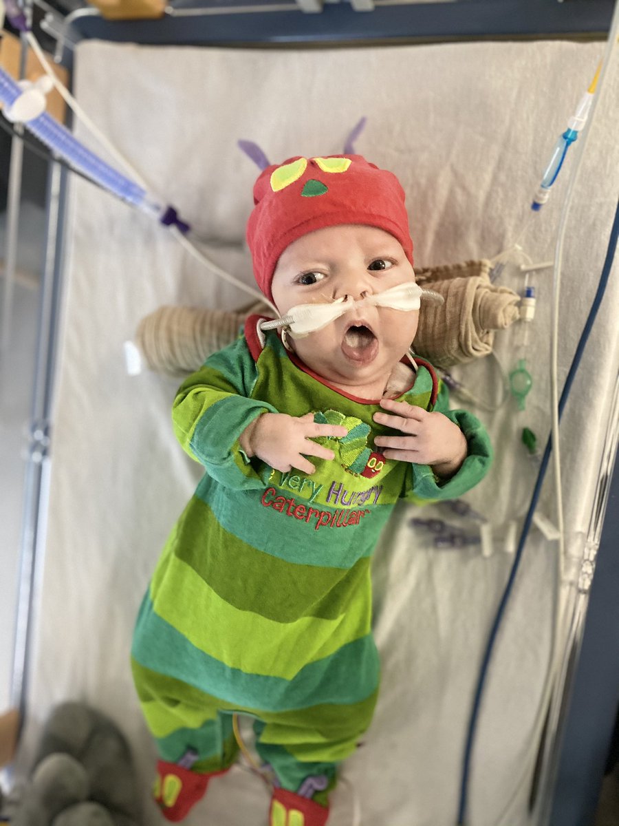 Happy world book day from my very hungry Archie <a href="/SheffChildrens/">Sheffield Children's</a> ❤️