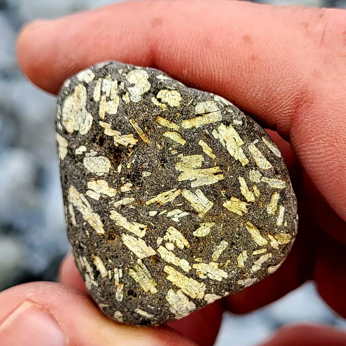 Cormac's Coast tweet media