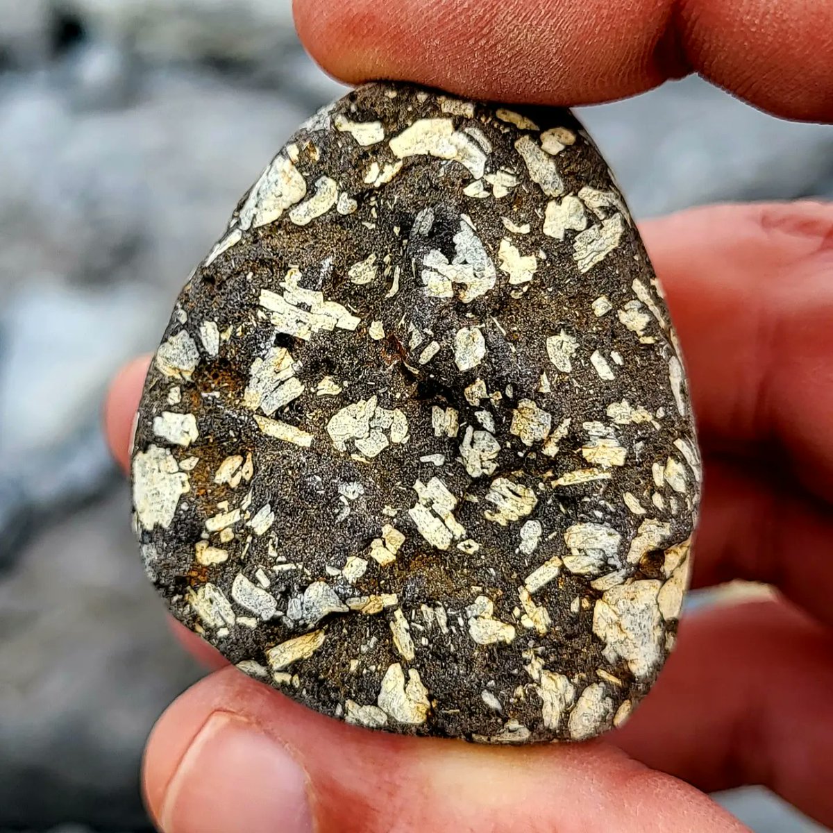 Cormac's Coast tweet media