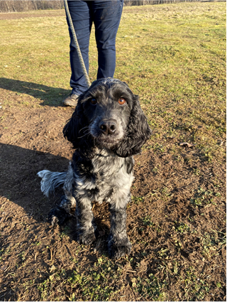 Natural England Norfolk and Suffolk tweet media