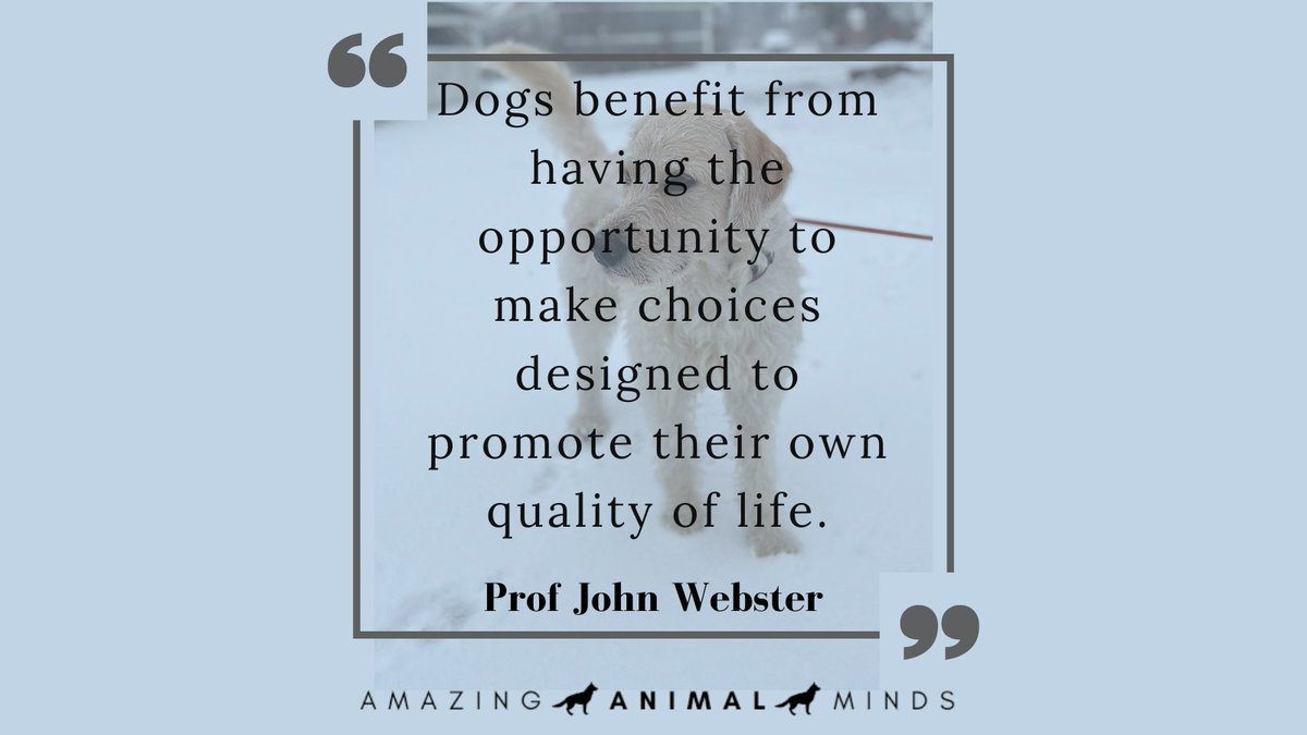 Providing dogs with choices can reduce their frustration and aggression, as well as prevent the development of abnormal behaviors. Giving dogs the freedom to choose can promote a sense of control and autonomy, which can improve their overall quality of life.

#dogs #caninescience