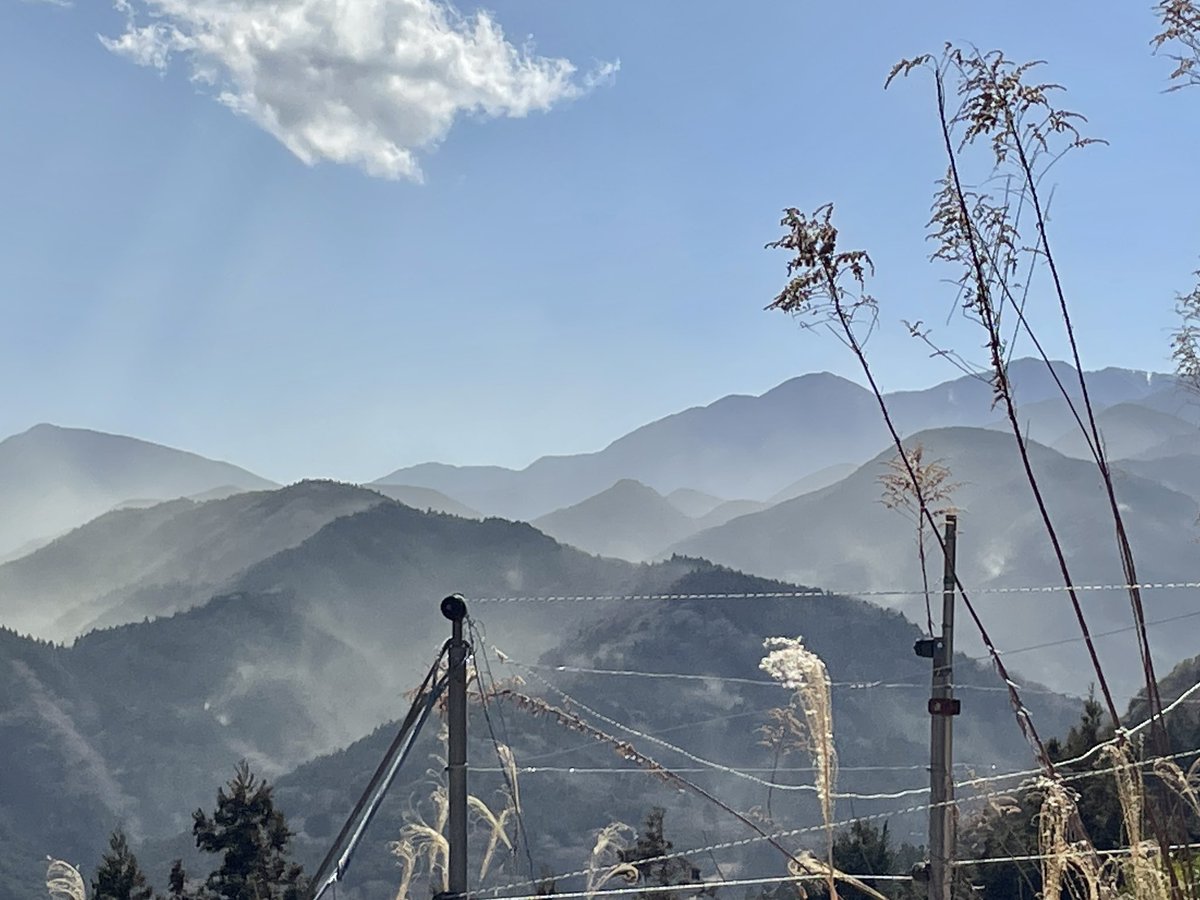 kouboukoubou's tweet photo. 今年は花粉症の症状がひどい気がすると思ってたけど、この状況見ると…！このモヤモヤ全部花粉です！ https://t.co/F9v1Vev0YY