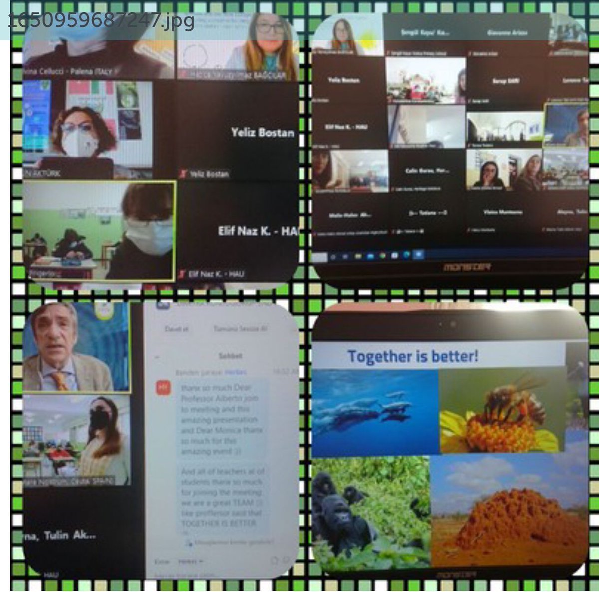 eTwinning_ist's tweet image. İl MEM ev sahipliğimizde İtalyan Çevre Bilim Profesörü Albert Bassed&apos;in seminer verdiği,&apos;Geleceğimiz Güzel,Sürdürülebilir,Birlikte&apos; eTwinning Temasını temsil eden &apos;GREENWONDER&apos; Projemize bir ödül de Portekiz&apos;den gelmiştir.Tebrikler Bağcılar Mentörümüz Değerli Hatice Yavuzyılmaz👏