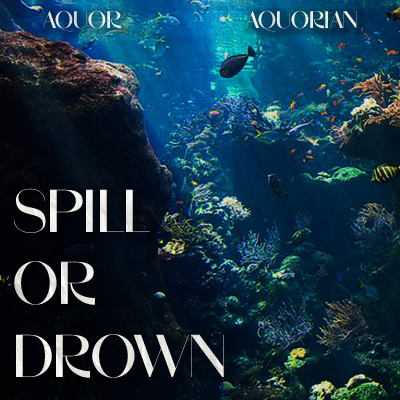 AQUOR. tweet media