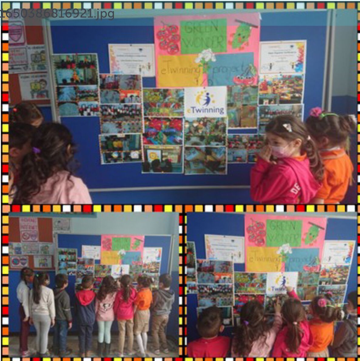 eTwinning_ist's tweet image. İl MEM ev sahipliğimizde İtalyan Çevre Bilim Profesörü Albert Bassed&apos;in seminer verdiği,&apos;Geleceğimiz Güzel,Sürdürülebilir,Birlikte&apos; eTwinning Temasını temsil eden &apos;GREENWONDER&apos; Projemize bir ödül de Portekiz&apos;den gelmiştir.Tebrikler Bağcılar Mentörümüz Değerli Hatice Yavuzyılmaz👏