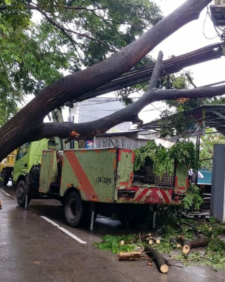 Kota Tangerang Siaga 112 menerima laporan adanya batang pohon yang tumbang. Lokasi di Jl. Irigasi Kenanga, RT. 006/RW. 004, Kel. Kenanga, Kec. Cipondoh, Kota Tangerang. (Patokan : Depan Pesantren Daarul Amanah)