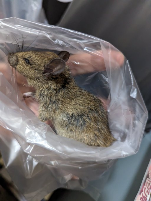 困ったなぁ・・・ 