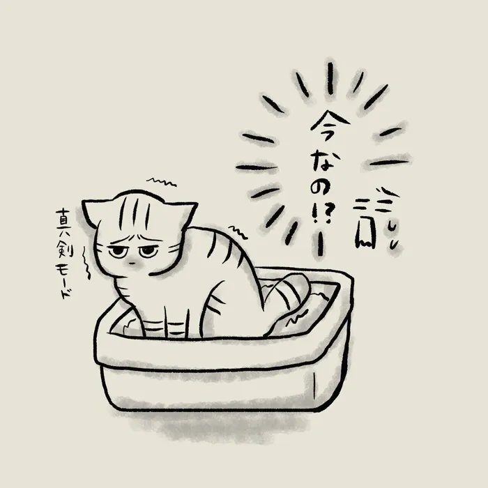 なぜ急いでいる時に限って、猫のトイレは始まってしまうのか【連載】交通事故にあった猫を拾いました#103|ねこのきもちWEB MAGAZINE https://t.co/xyiAy6YSRn 