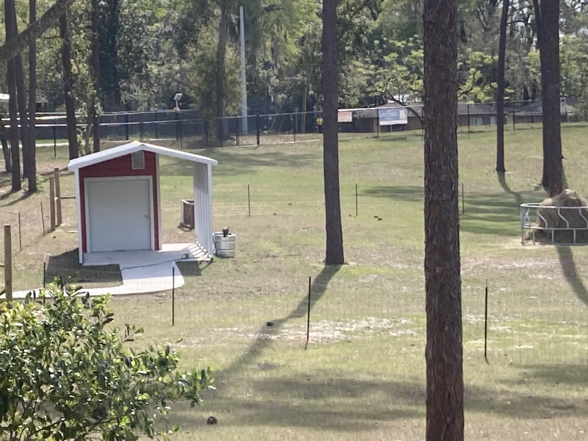 New arrivals at GME! Thank you Principal Shannon Young for all your hard work,resilience and grit to make this happen. My vote for “Principal of the Year”<a href="/vscavolusia/">Volusia School Counselor Association</a> <a href="/volusiaschools/">Volusia County Schools</a> <a href="/MediaGME/">GME Media Center</a> <a href="/GMElemArt/">George Marks Elementary Art Class</a>
