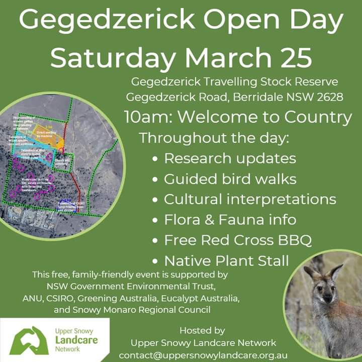 We are excited to be part of this fantastic event!

Come along to see all the great work being done at this site, and maybe go home with a few new native plants!

Got your eye on a specific species? Email us to make sure we bring it along on the day.

#NationalEucalyptDay