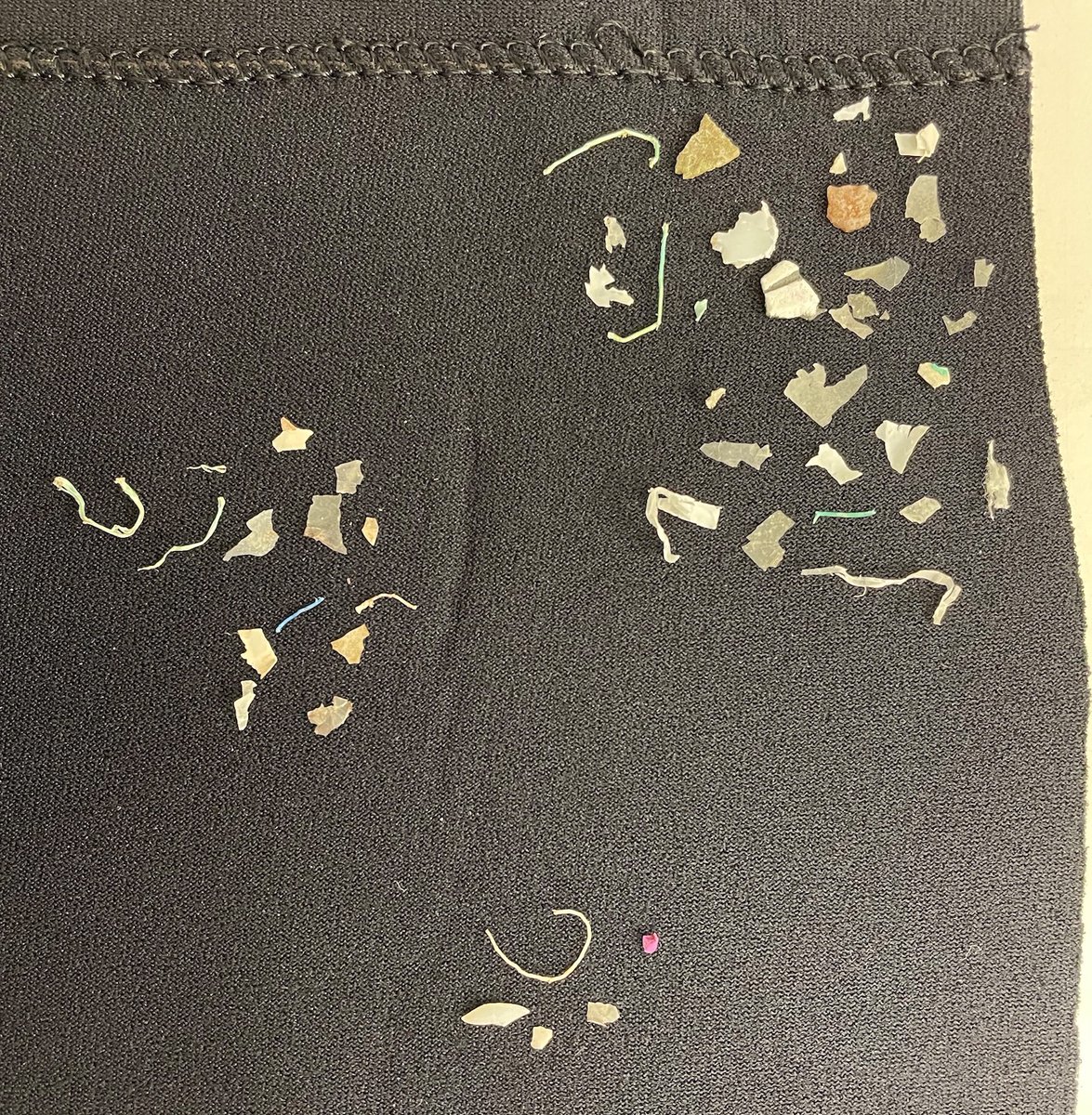 47 pieces of microplastic were found in a hatchling 🐢 Microplastics float at the surface, where hatchlings mistake them for food. This is the sad reality of human action. Make a difference by refusing single-use plastics &amp; doing beach clean-ups!♻️ #plasticpollution #turtlerehab