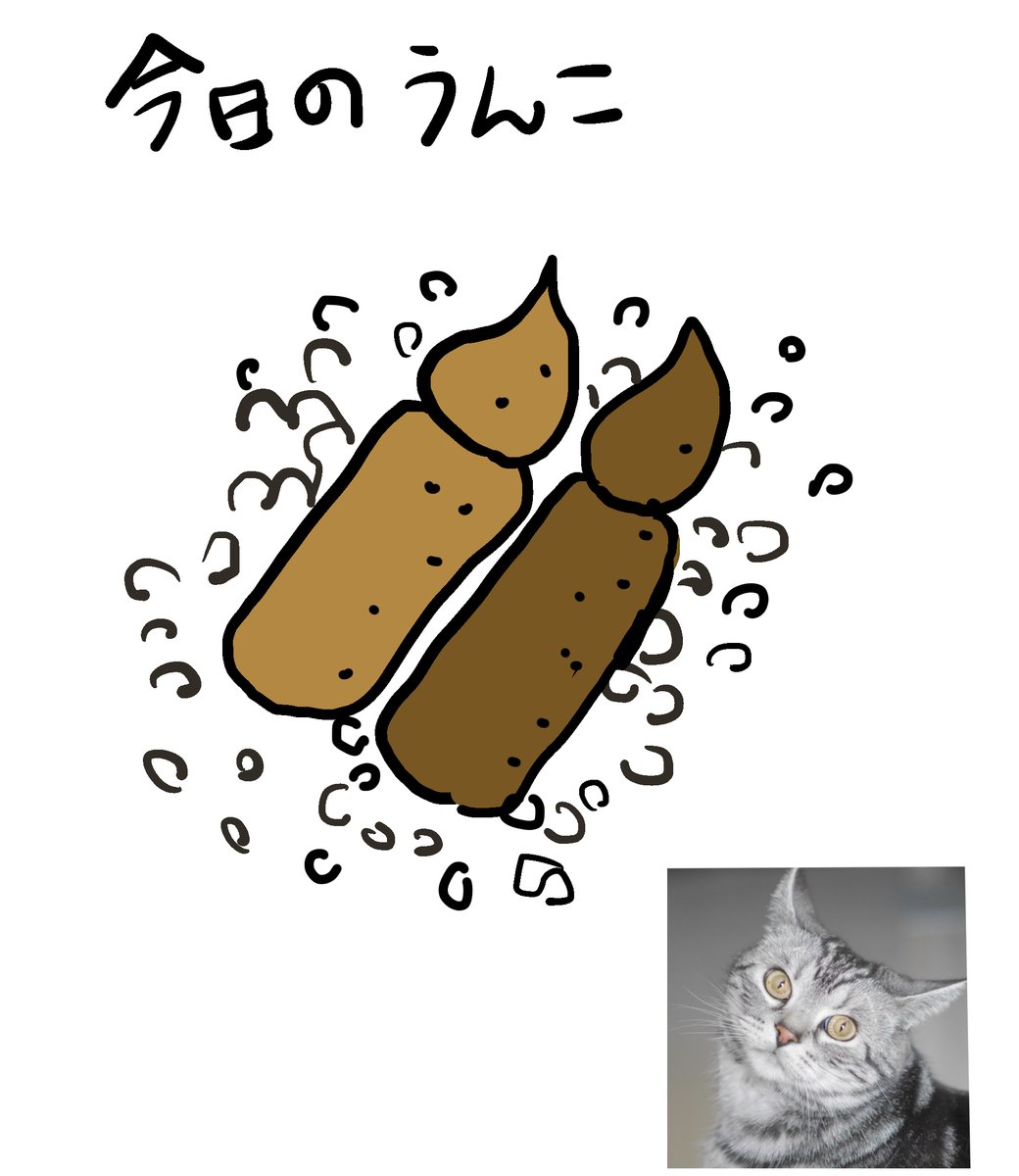 色違いが2つ並んでた

  #猫がいる暮らし 