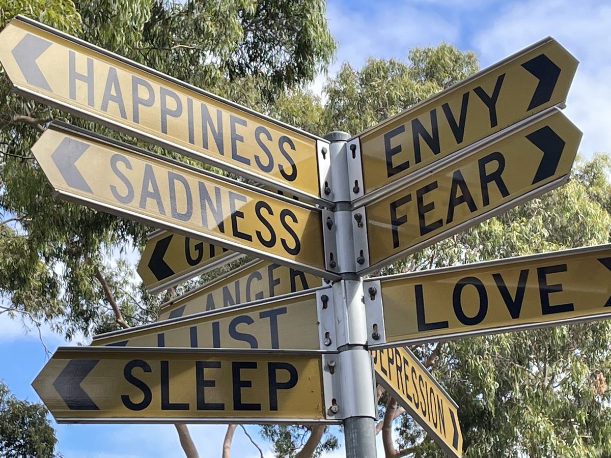 JasonRalph4's tweet photo. I’ve started the talks on my book #ongloballearning with reference to Frost’s famous poem ‘The Road not Taken’. Fitting then that on my last Aus. talk @MonashPolsIR I come across artwork on a similar theme. Thanks to @JacquiTrue @MatteoBonotti & colleagues https://t.co/BqD20BFOpR