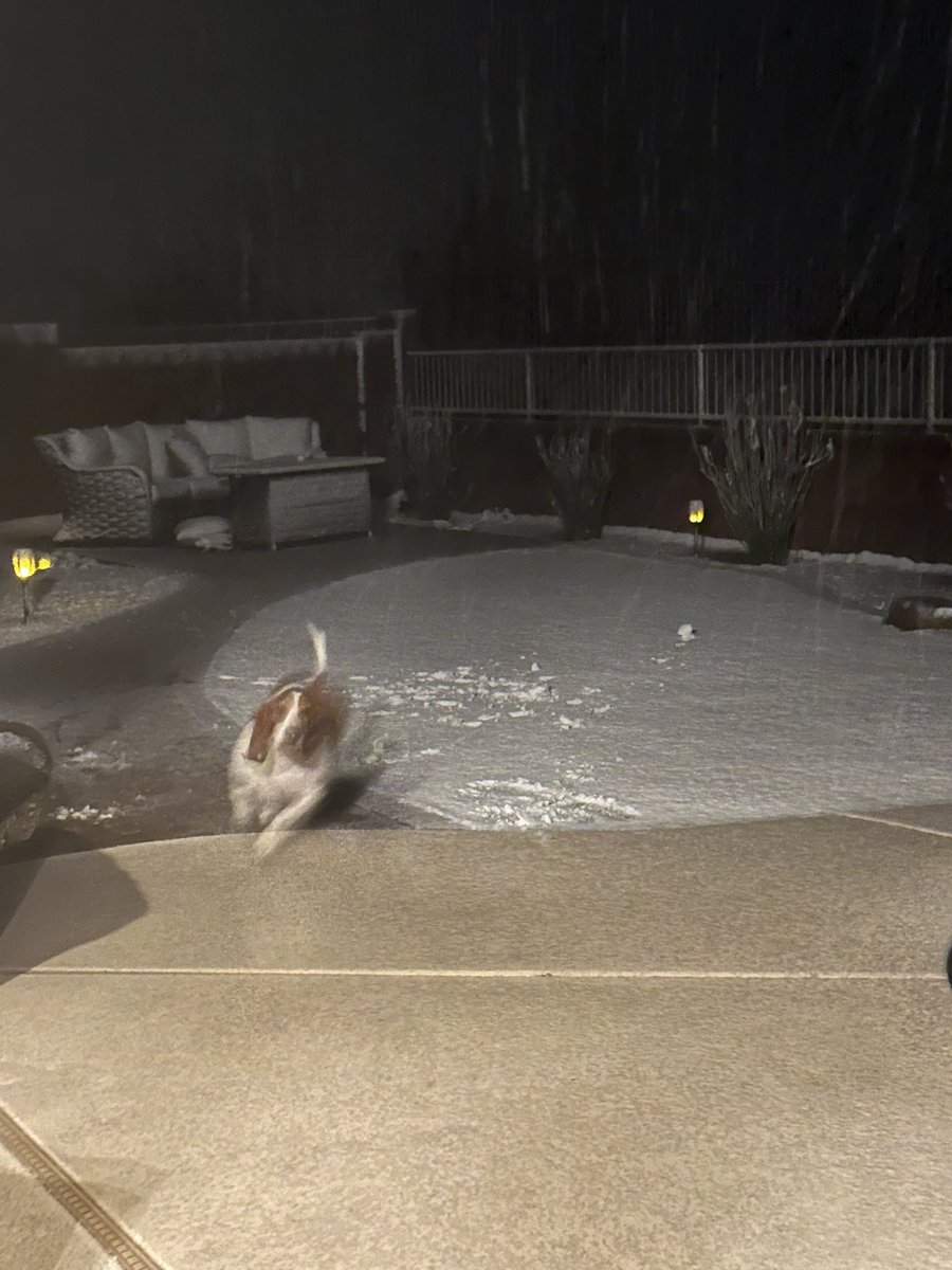 ChuckKmet's tweet photo. @NWSTucson Coming down and sticking in Dove Mountain! https://t.co/aeM2F3l6WC