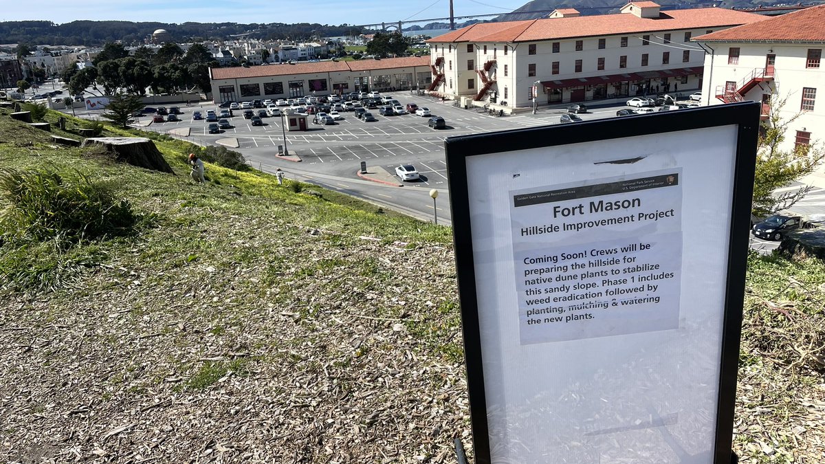 two_hungrygirls's tweet photo. We had a nice hillside full of flowers, now thanks to the “improvement project” it is all gone. Thanks @LondonBreed @sfgov https://t.co/d3GvGh9pHj
